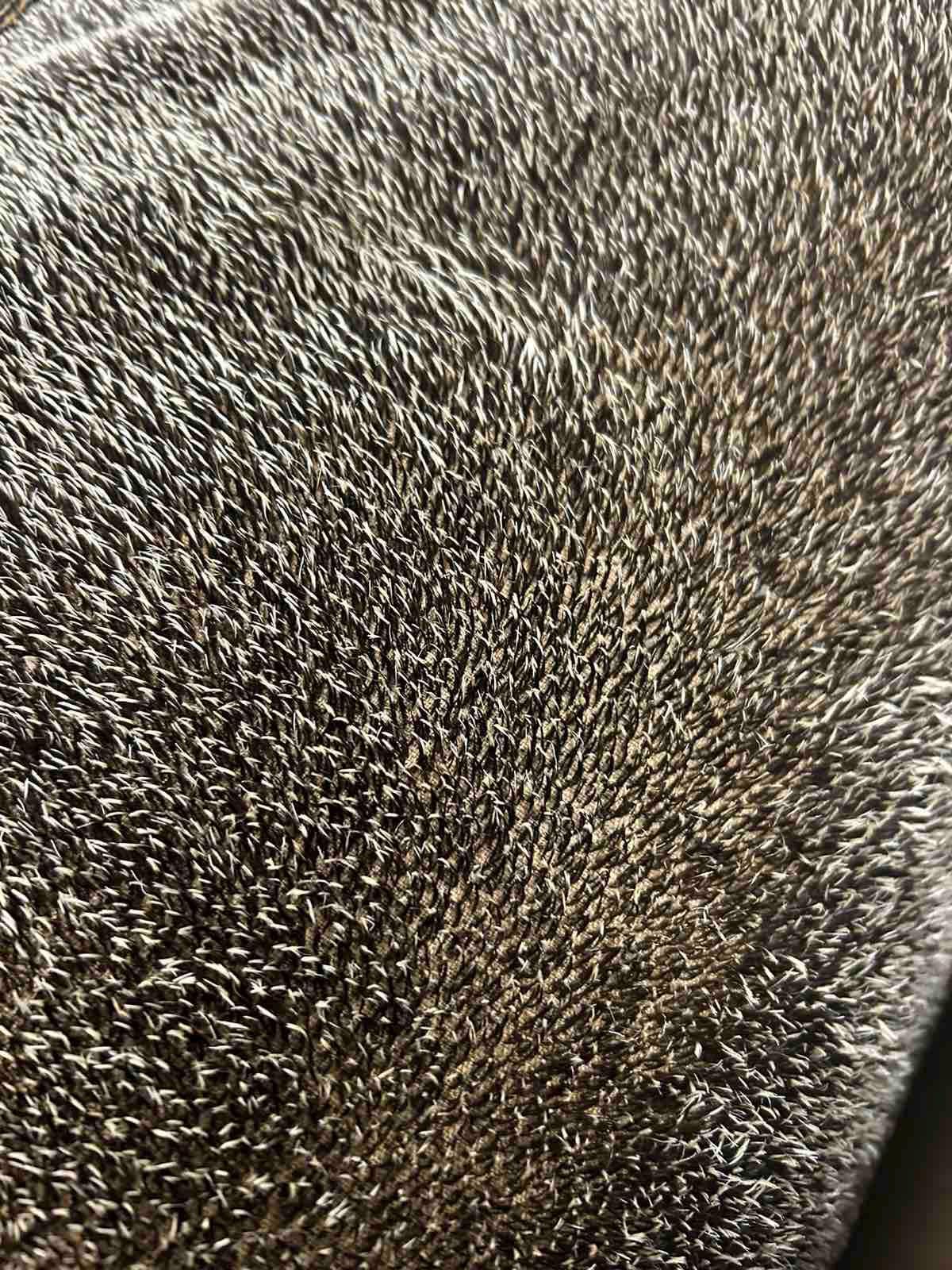 Hedgehog realistic Mohair Fabric DIY original 100% Steiff Schulte 20121 , Made in Germany
